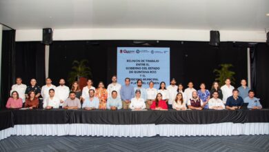 WHATSAPP IMAGE 2025 05 08 AT 11 59 42 A M